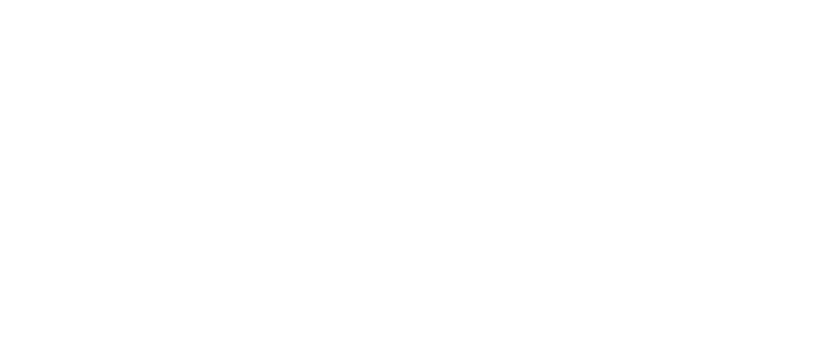 Luís Borges